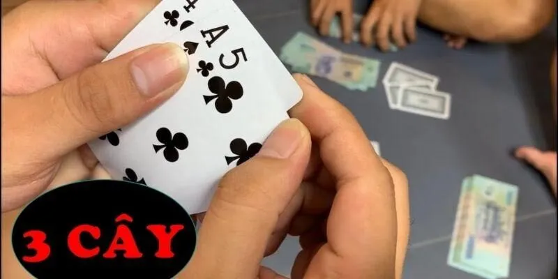 Hướng dẫn chơi Ba Cây rất dễ hiểu
